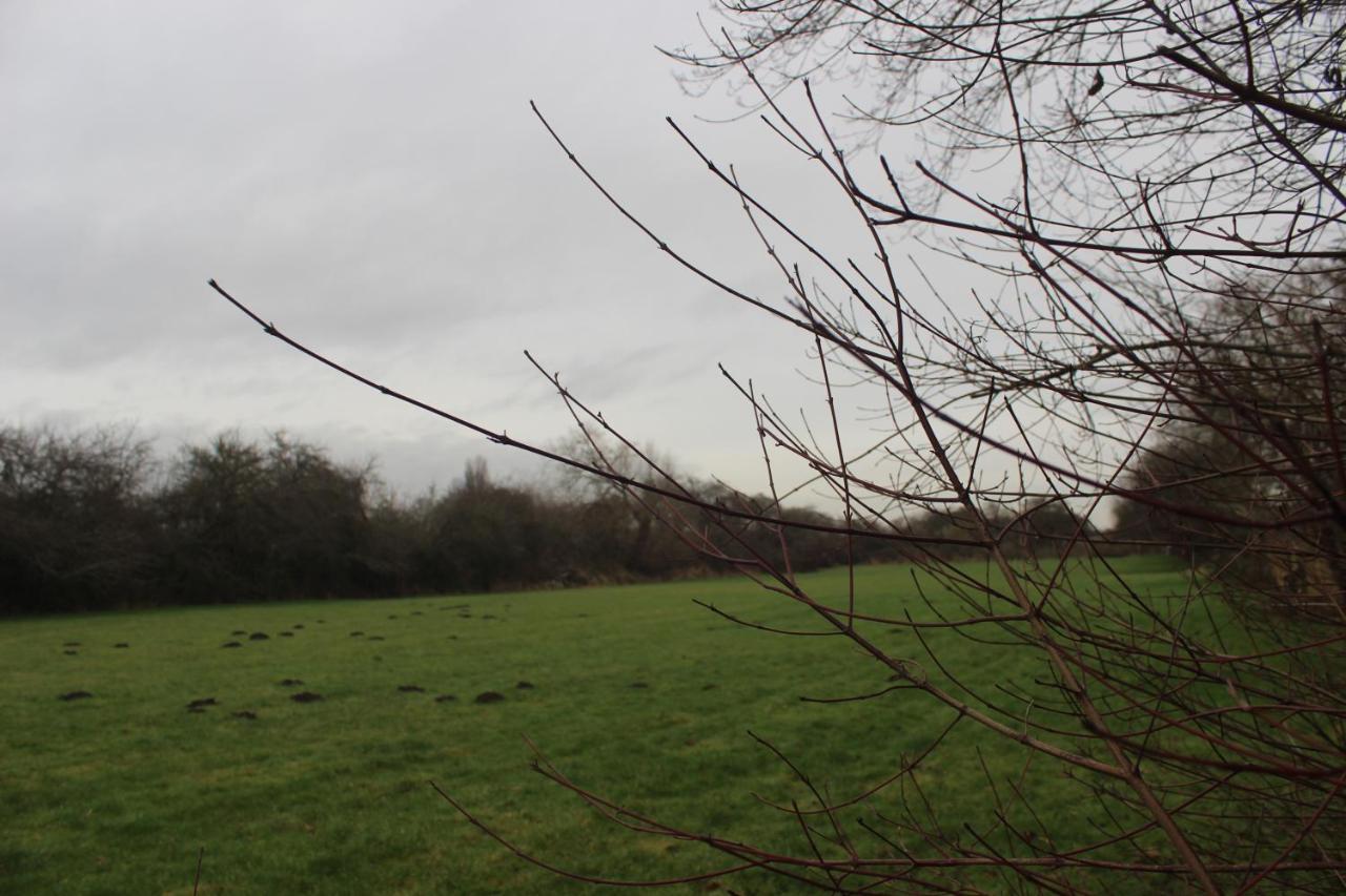 Shelford Lodge Trumpington Eksteriør billede